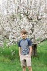 Portrait of a little boy in an orchard — Stock Photo