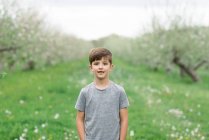 Retrato de un niño en un huerto de manzanas - foto de stock