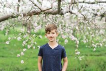Portrait of a boy in an orchard — Stock Photo