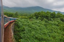 View of the green forest and mountains, train on the bridge — Stock Photo