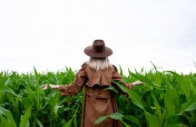 Блондинка в плаще и шляпе на кукурузном поле летом — стоковое фото