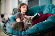 Серый кот сидит на папасанском стуле с девочкой-подростком, читающей книгу — стоковое фото