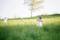 Une photographie analogique de petites filles courant vers un arbre — Photo de stock