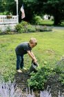 Хлопчик допомагає з поливом рослин в саду — стокове фото