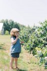 Bambino con la maschera giù in modo che possa mangiare mirtilli in una fattoria — Foto stock