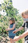 Toddler with mask off eating blueberries at a blueberry farm — Stock Photo