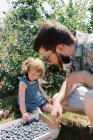 Junge Familie pflückt Blaubeeren auf einem Bauernhof in der prallen Sonne — Stockfoto