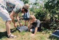 Giovane famiglia che raccoglie mirtilli in una fattoria al sole — Foto stock