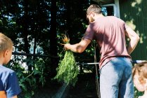 Ein Vater spült die ersten Möhren aus dem Garten — Stockfoto