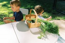 Una familia comiendo zanahorias recién recogidas del jardín - foto de stock
