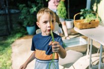 Un garçon mangeant des carottes fraîchement cueillies dans le jardin — Photo de stock