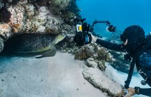 Buceador explorando cueva en la Gran Barrera de Coral - foto de stock