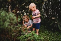Giovani ragazzi che esplorano in giardino alla ricerca di insetti in estate — Foto stock