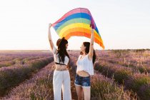 Girlfriends looking each other in a lavender field waving a lgbt flag — Stock Photo
