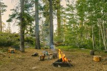 Camping dans la forêt sur fond de nature — Photo de stock