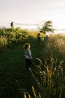 Two children taking their puppy on a summer evening walk in a field — Stock Photo