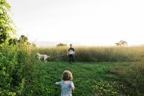 Двоє дітей беруть цуценя на літній вечірній прогулянці на полі — стокове фото