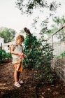 Cute little girl picking vegetables — Stock Photo