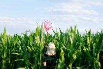 Femme blonde en robe noire avec filet papillon dans le champ de maïs — Photo de stock