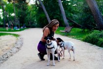 Жінка з косами грає зі своїми собаками в парку — стокове фото