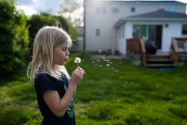 Blonde little girl blowing dandelion seeds — Stock Photo