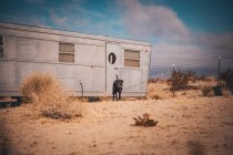 A dog is near an RV trailer in a desert, California — Stock Photo