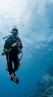 Plongeur demandant copain combien d'air il lui reste en utilisant le signal de la main — Photo de stock