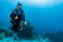 Buceador explorando el Gran Arrecife de Barrie - foto de stock