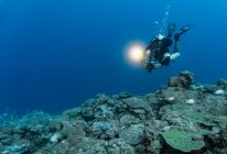 Подводный фотограф спускается к кораллам на дне океана — стоковое фото