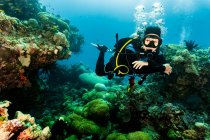 Diver exploring coral at the Great Barrier Reef — Stock Photo