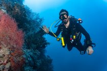 Immergitore alla scoperta del corallo presso la grande barriera corallina — Foto stock