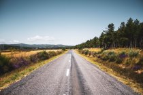 Road in the countryside in the summer — Stock Photo