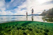 Un uomo e una donna in piedi paddle boarding sul lago Tahoe, CA — Foto stock