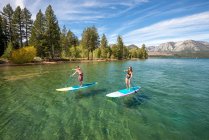 A man and woman stand up paddle boarding on Lake Tahoe, CA — Stock Photo