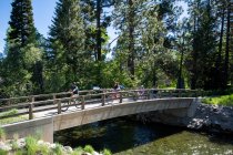 A family crosses a bridge over Taylor Creek on bikes on a beautiful summer day near South Lake Tahoe, California. — Stock Photo