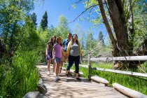 Caminhadas em família em um caminho de madeira cercado por árvores e vegetação exuberante em um dia de verão em Taylor Creek perto de South Lake Tahoe, Califórnia. — Fotografia de Stock