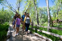 A family hikes on a wooden path surrounded by trees and lush vegetation on a summer day at Taylor Creek near South Lake Tahoe, California. — Stock Photo