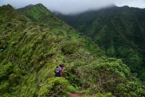 Un paio di escursioni lungo un crinale in una giornata nuvolosa a Oahu, Hawaii — Foto stock