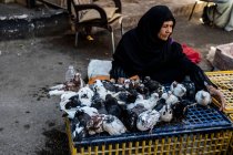 Una donna egiziana vende piccioni da mangiare — Foto stock