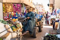 Uomo egiziano guida cavallo carrello attraverso il mercato aperto — Foto stock