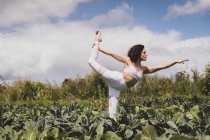 Femme dans la pose d'un danseur dans un champ de légumes — Photo de stock