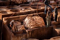Moroccan leather workers at the Fez tannery — Stock Photo