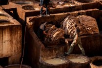 Moroccan workers dye leather in fez tannery — Stock Photo