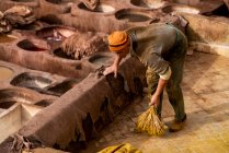 Male worker cleaning in leather tannery in fez, Morocco — Stock Photo