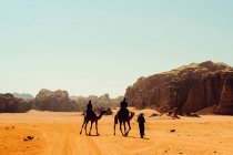 Les touristes montent chameaux avec un guide bédouin à Wadi Rum, Jordanie — Photo de stock