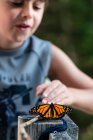 Giovane ragazzo guardando una farfalla monarca a riposo su una ringhiera ponte. — Foto stock