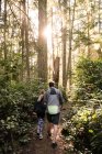 Randonnée pédestre père et fille sur un sentier boisé le jour ensoleillé — Photo de stock
