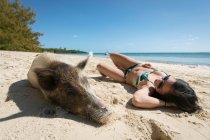 Young woman relaxing by pig at beach on sunny day — Stock Photo