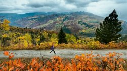 Mujer corriendo por la carretera durante el otoño - foto de stock