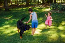 Two happy children play together with dog in a sunlit, wooded backyard — Stock Photo